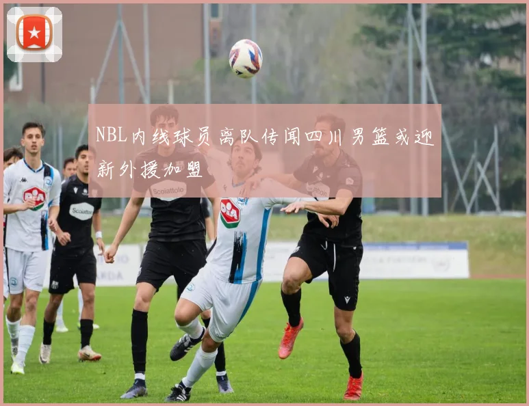 NBL内线球员离队传闻四川男篮或迎新外援加盟