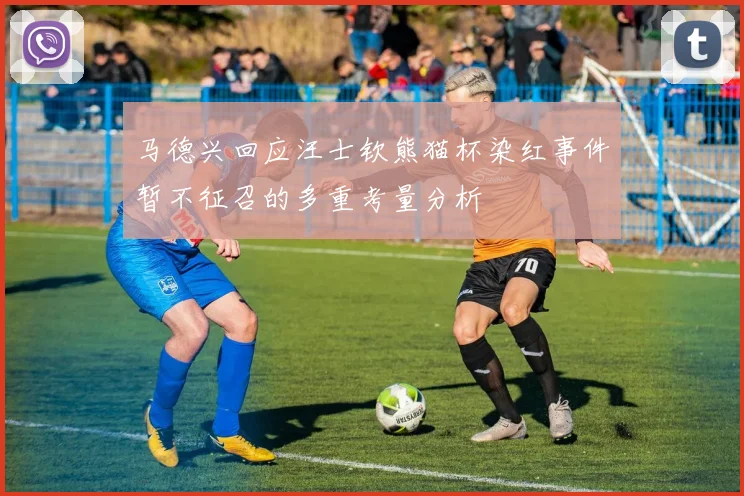 马德兴回应汪士钦熊猫杯染红事件暂不征召的多重考量分析