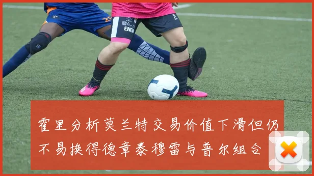 霍里分析莫兰特交易价值下滑但仍不易换得德章泰穆雷与普尔组合