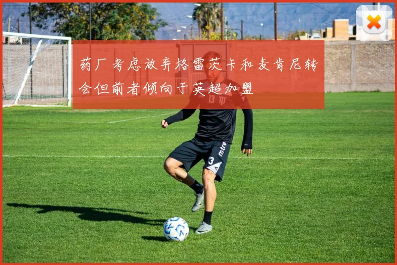 药厂考虑放弃格雷茨卡和麦肯尼转会但前者倾向于英超加盟