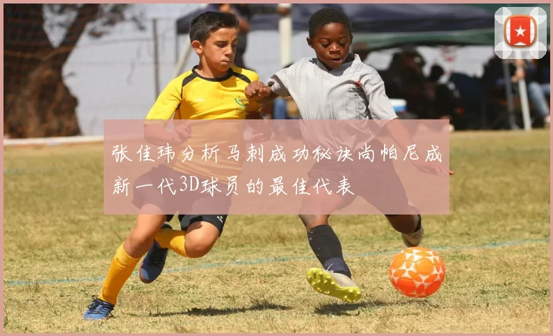 张佳玮分析马刺成功秘诀尚帕尼成新一代3D球员的最佳代表